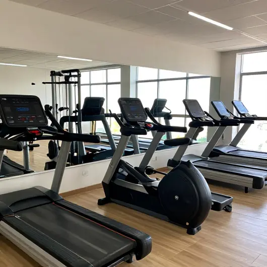 Descubra a Rede Feira Fitness Descubra a Rede Feira Fitness