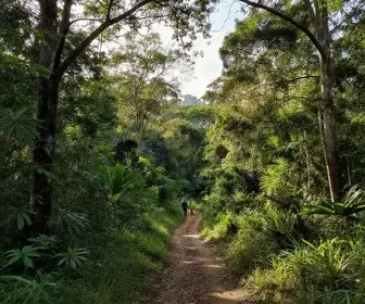 Descubra a Reserva Buriti em Humildes: Natureza e Aventura em Feira de Santana