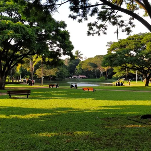Descubra o Gran Park