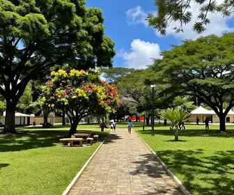 Explore a Beleza dos Parques de Feira de Santana com Nossas Fotos