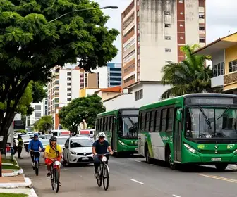 Melhores Opções de Transporte para os Distritos de Feira de Santana Melhores Opções de Transporte para os Distritos de Feira de Santana